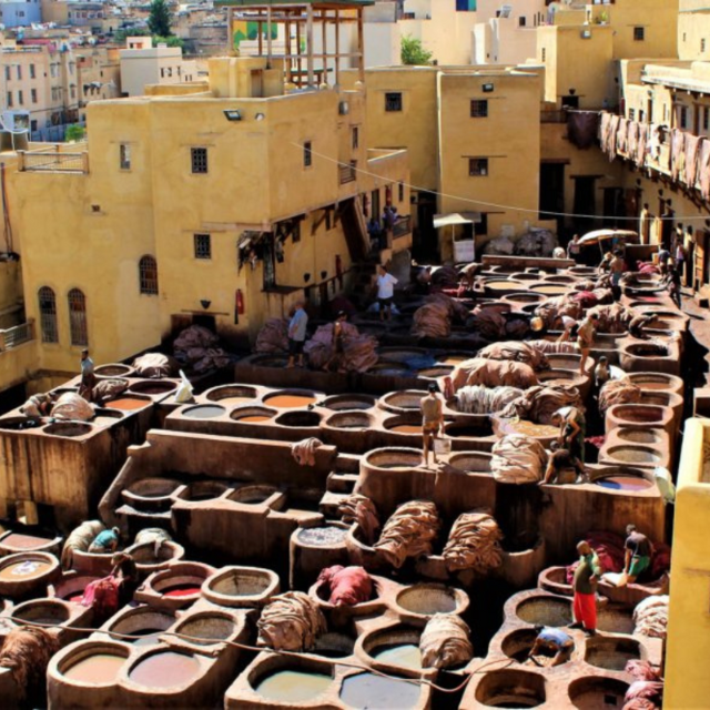 FES